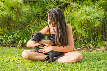 Similar image 7545396