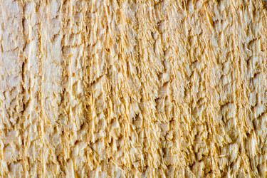 Similar image 7545413