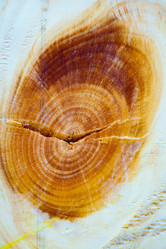 Similar image 7545418