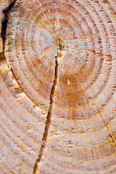 Similar image 7545420