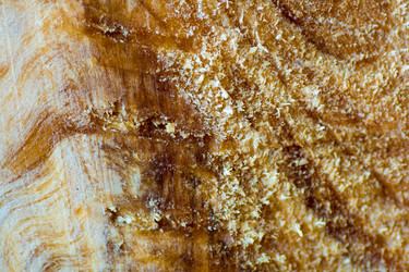 Similar image 7545421