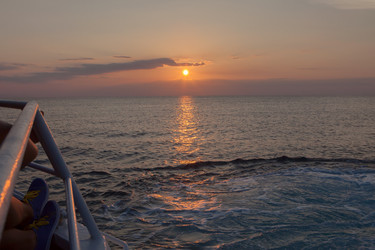 Similar image 7545431