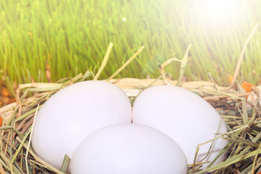 Similar image 7545533