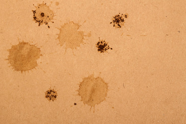 Similar image 7545535