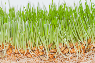 Similar image 7545540