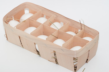 Similar image 7545541