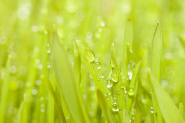 Similar image 7545545