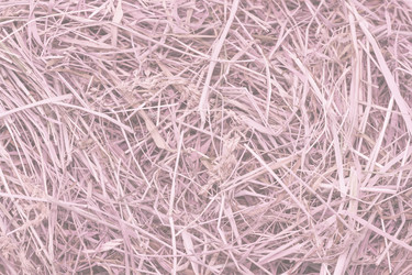 Similar image 7545548