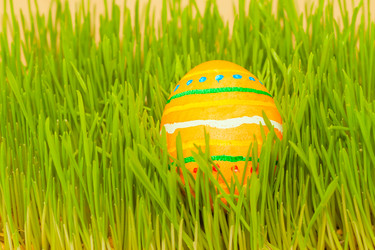 Similar image 7545582