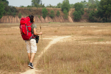 Similar image 7545602