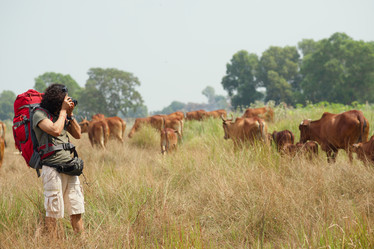 Similar image 7545607