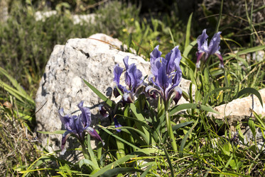 Similar image 7545798