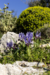 Similar image 7545799