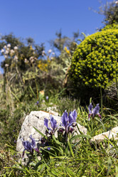 Similar image 7545800