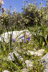 Similar image 7545896