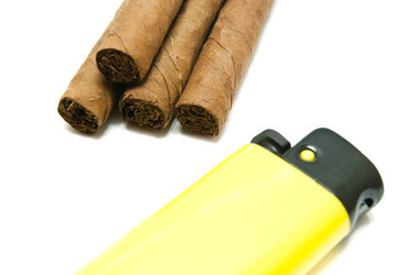 Similar image 7545982