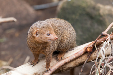 Similar image 7546006