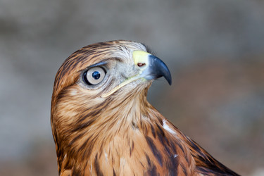 Similar image 7546008