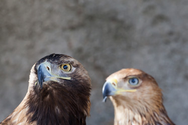 Similar image 7546009