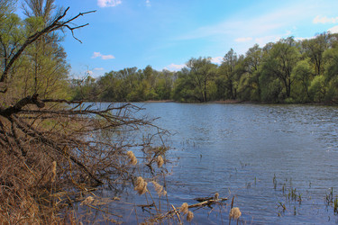 Similar image 7546032