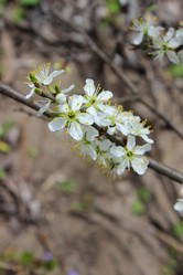 Similar image 7546033