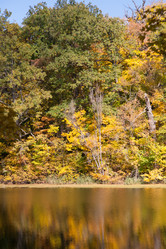 Similar image 7546049