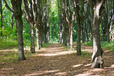 Similar image 7546052