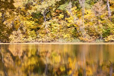 Similar image 7546054