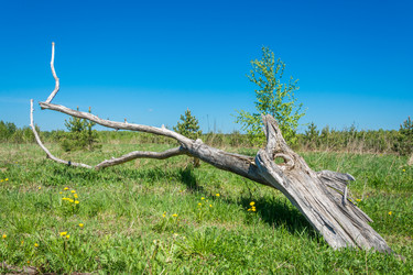 Similar image 7546074