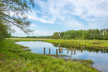 Similar image 7546075