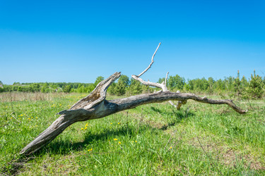 Similar image 7546077