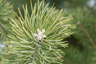 Similar image 7546085