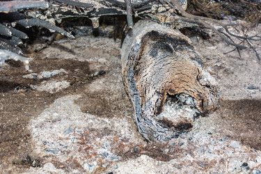 Similar image 7546086