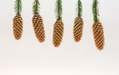 Similar image 7546089