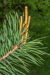 Similar image 7546090