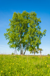 Similar image 7546093