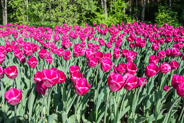 Similar image 7546096