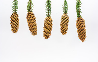 Similar image 7546097