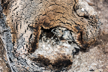 Similar image 7546098