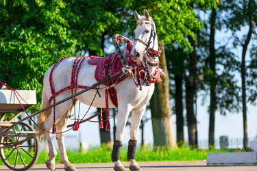 Similar image 7546104