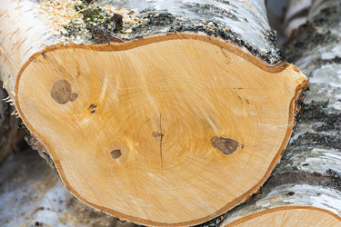 Similar image 7546118