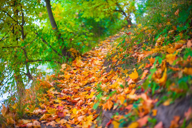 Similar image 7546123