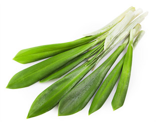 Similar image 7546379