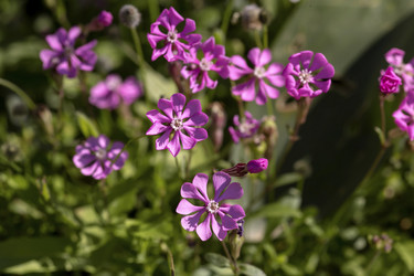 Similar image 7546387