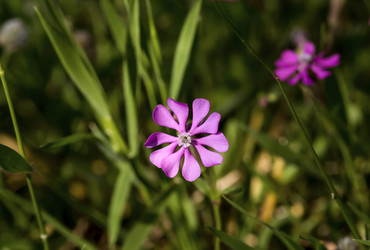 Similar image 7546388