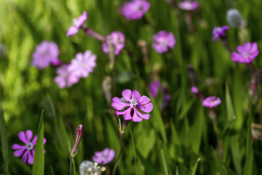 Similar image 7546389