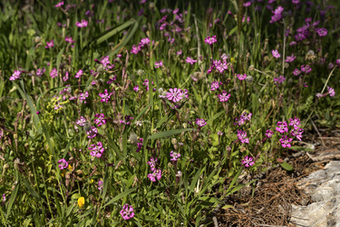 Similar image 7546390