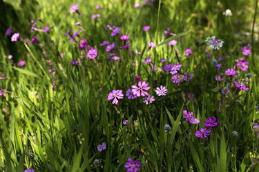 Similar image 7546391