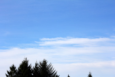 Similar image 7546406