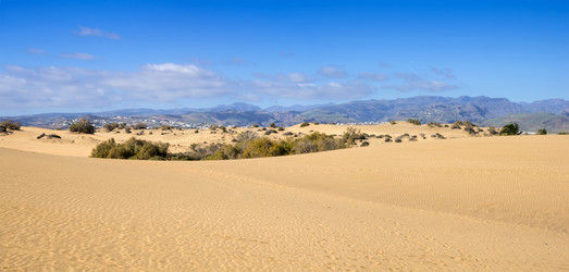 Similar image 7546431